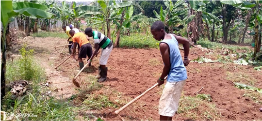 Ausbildungs-Farm in Uganda