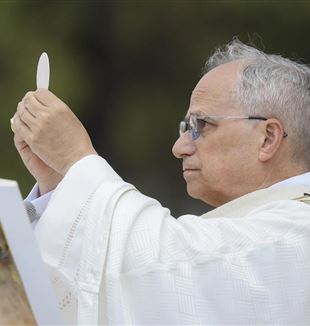 Papst Leo XIV. (©Ansa/Vatican Media)